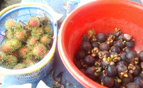 buah rambutan buah manggis