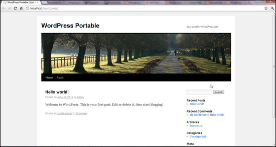 wordpress default theme