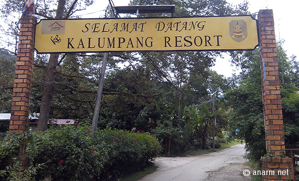 selamat datang kalumpang resort