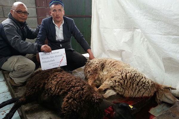 Sembelihan aqiqah kambing di Kazakhstan