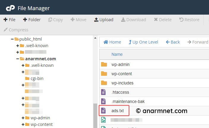 Fail ads.txt di blog WordPress