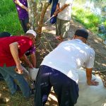 Sembelih lembu korban Aidiladha